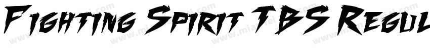 Fighting Spirit TBS Regular字体转换